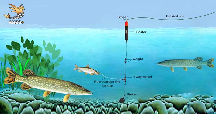 تصویر چند نمونه از ریسه های کف خواب و شناوری ایده آل جهت صید اردک ماهی