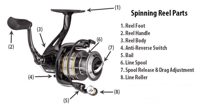 Parts-of-spinning-reel